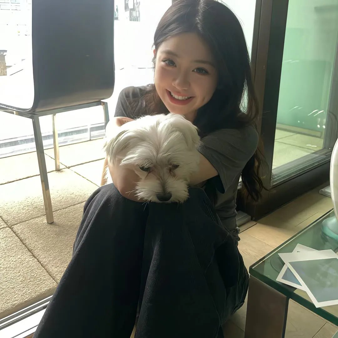 所罗门的伪证前篇：事件